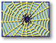 Site Index Page